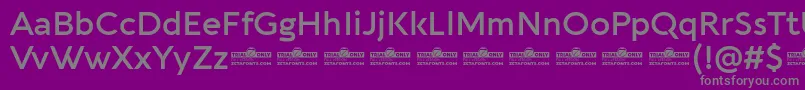 Aquawax Pro DemiBold trial Font – Gray Fonts on Purple Background