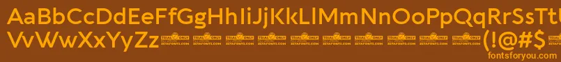 Aquawax Pro DemiBold trial Font – Orange Fonts on Brown Background