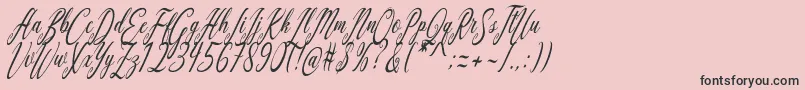 Aquilera Script Font – Black Fonts on Pink Background