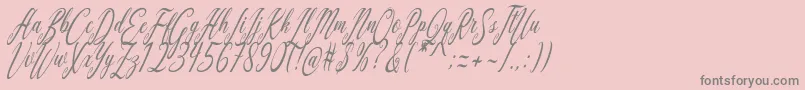 Aquilera Script Font – Gray Fonts on Pink Background