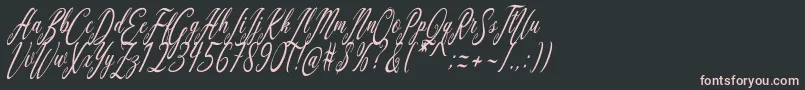 Aquilera Script Font – Pink Fonts on Black Background
