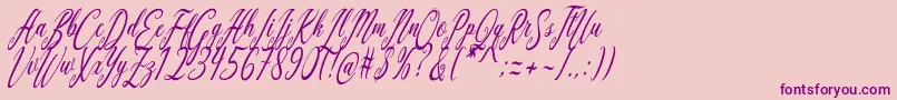 Aquilera Script-Schriftart – Violette Schriften auf rosa Hintergrund