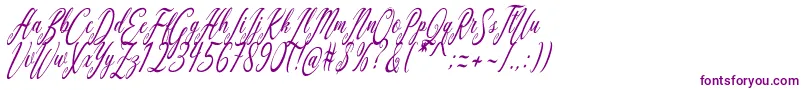 Aquilera Script-fontti – violetit fontit valkoisella taustalla