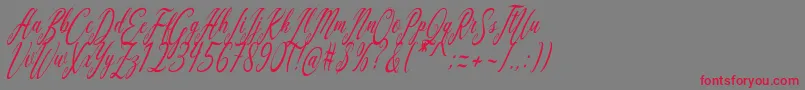Aquilera Script Font – Red Fonts on Gray Background