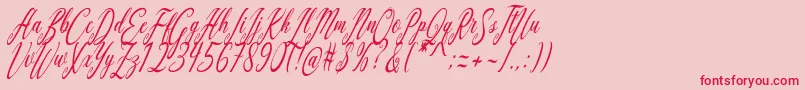 Aquilera Script Font – Red Fonts on Pink Background