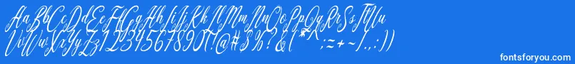 Aquilera Script Font – White Fonts on Blue Background