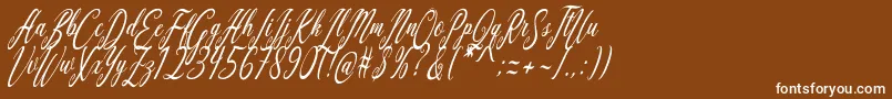 Police Aquilera Script – polices blanches sur fond brun