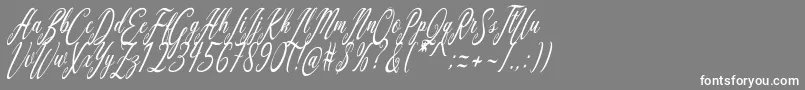 フォントAquilera Script – 灰色の背景に白い文字