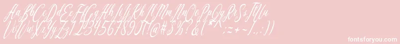 Aquilera Script Font – White Fonts on Pink Background