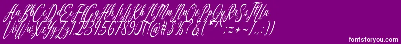 Aquilera Script-Schriftart – Weiße Schriften auf violettem Hintergrund