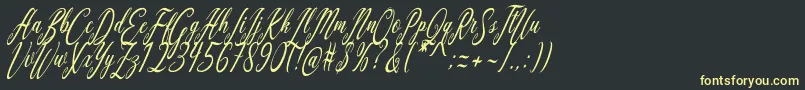 Aquilera Script Font – Yellow Fonts on Black Background
