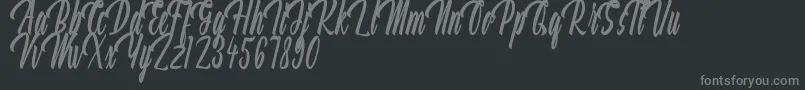 Aquilland Font – Gray Fonts on Black Background