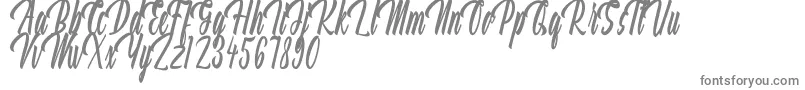 Aquilland-fontti – harmaat kirjasimet valkoisella taustalla