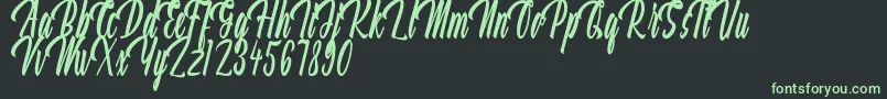 Aquilland Font – Green Fonts on Black Background