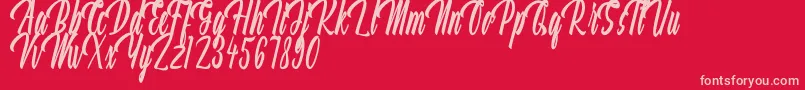 Aquilland Font – Pink Fonts on Red Background