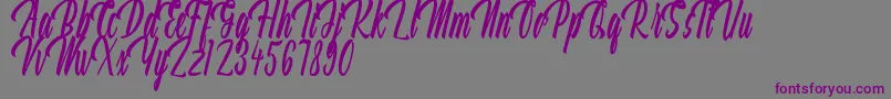 Aquilland-Schriftart – Violette Schriften auf grauem Hintergrund