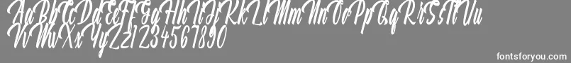 Aquilland Font – White Fonts on Gray Background