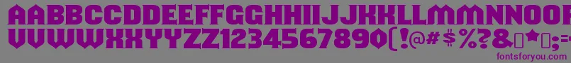 フォントShouldveknownRegular – 紫色のフォント、灰色の背景