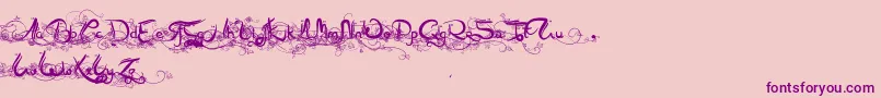 Arabia Font – Purple Fonts on Pink Background
