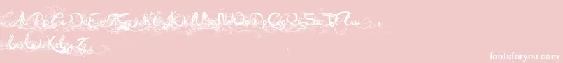 Arabia Font – White Fonts on Pink Background