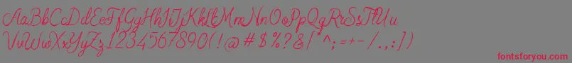 Czcionka Arabian Script – czerwone czcionki na szarym tle