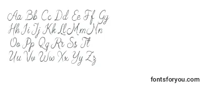 Обзор шрифта Arabian Script