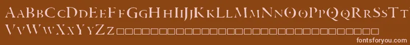 ARANEA Font – Pink Fonts on Brown Background