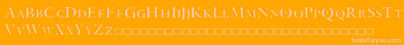 ARANEA Font – Pink Fonts on Orange Background