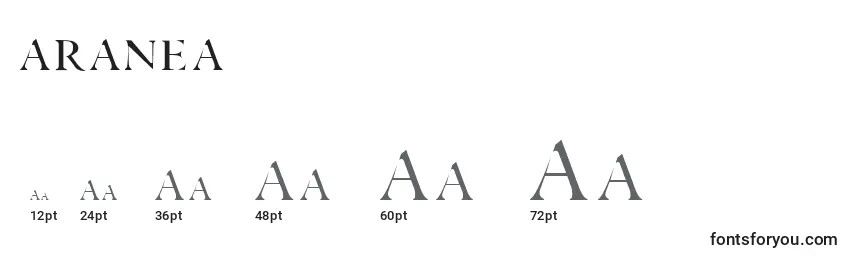 Размеры шрифта ARANEA (119839)