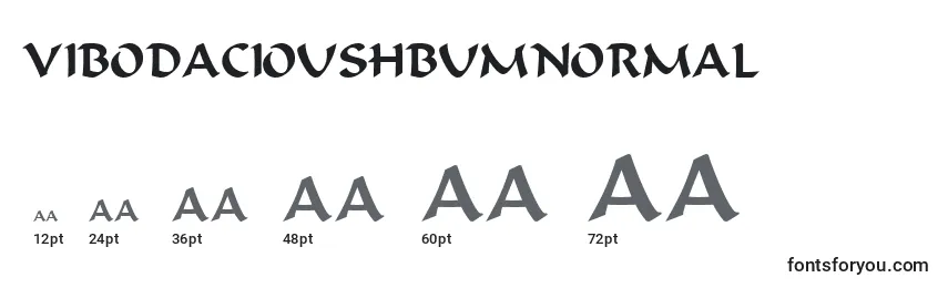 ViBodaciousHBumNormal Font Sizes