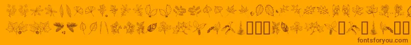 ARBOF   -Schriftart – Braune Schriften auf orangefarbenem Hintergrund