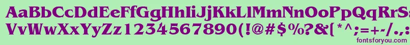 Agben3 Font – Purple Fonts on Green Background