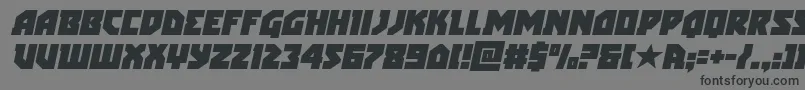 arcticguardianital Font – Black Fonts on Gray Background