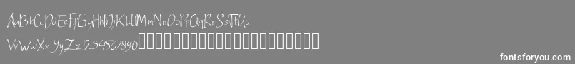 Ardnerandemo Font – White Fonts on Gray Background