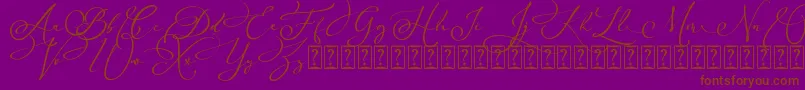 Arellia Script Dafont Font – Brown Fonts on Purple Background