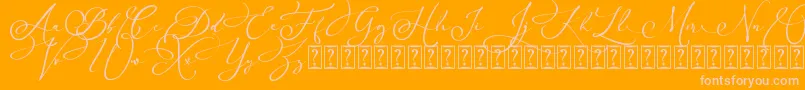 Arellia Script Dafont Font – Pink Fonts on Orange Background