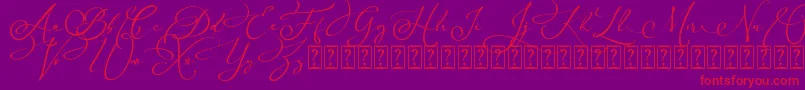 Arellia Script Dafont Font – Red Fonts on Purple Background
