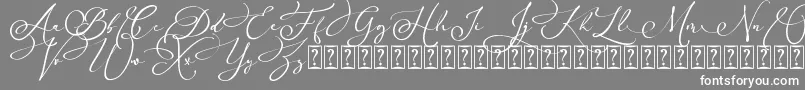 フォントArellia Script Dafont – 灰色の背景に白い文字
