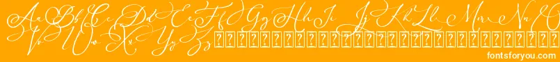 Arellia Script Dafont Font – White Fonts on Orange Background
