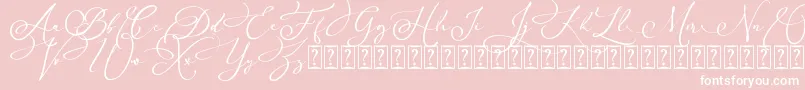 Arellia Script Dafont Font – White Fonts on Pink Background