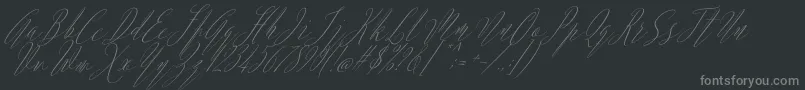 フォントArgentina Script Italic – 黒い背景に灰色の文字