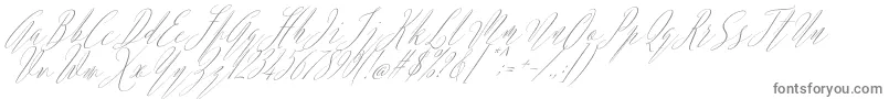 Argentina Script Italic-fontti – harmaat kirjasimet valkoisella taustalla