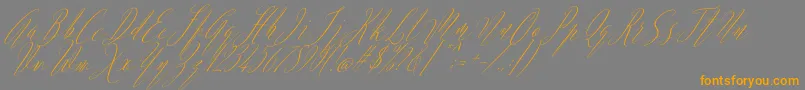 Argentina Script Italic-fontti – oranssit fontit harmaalla taustalla