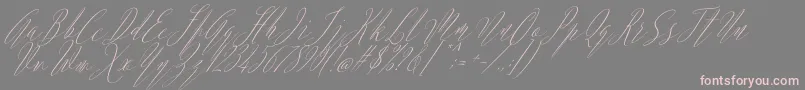 Argentina Script Italic-Schriftart – Rosa Schriften auf grauem Hintergrund