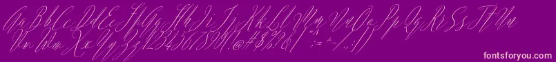 Argentina Script Italic-Schriftart – Rosa Schriften auf violettem Hintergrund