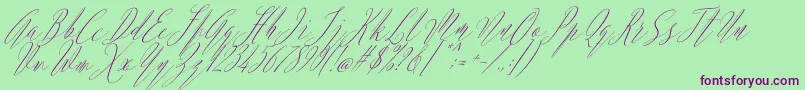 Argentina Script Italic-fontti – violetit fontit vihreällä taustalla