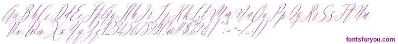 Argentina Script Italic-fontti – violetit fontit valkoisella taustalla