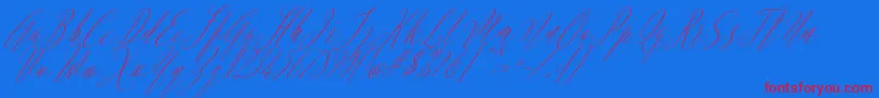 Argentina Script Italic-Schriftart – Rote Schriften auf blauem Hintergrund