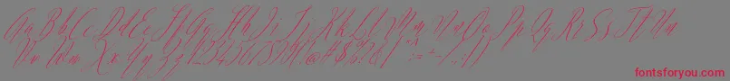 Шрифт Argentina Script Italic – красные шрифты на сером фоне