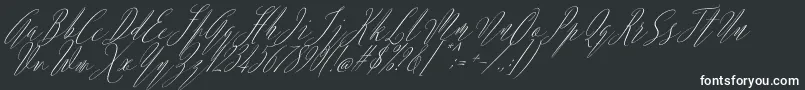 Шрифт Argentina Script Italic – белые шрифты